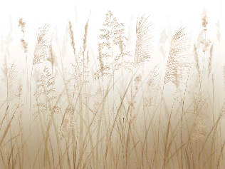 Carta da parati con fiori di campo e grano