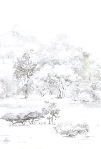 Carta da parati foresta di pini acquerello