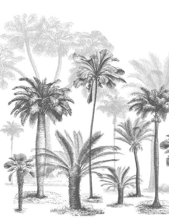 Carta da parati Jungle in bianco e nero