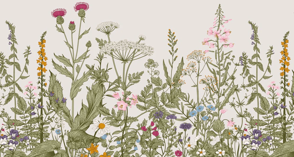 Carta da parati bistrot botanica folk romantica