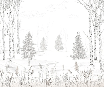 Carta da parati foresta in bianco e nero – Douceur des Bois