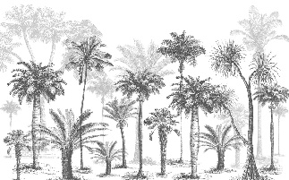 Carta da parati Jungle Black & White