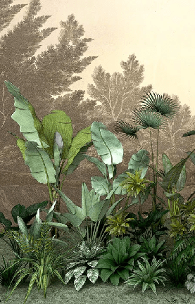 Carta da parati Jungle tendenza indonesiana