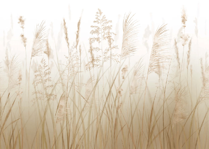 Carta da parati con fiori di campo e grano