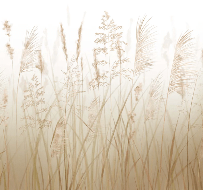 Carta da parati con fiori di campo e grano