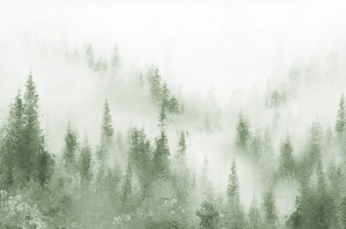Carta da parati acquerello verde nebbia bistro abete