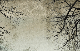 Carta da parati Foresta incantata