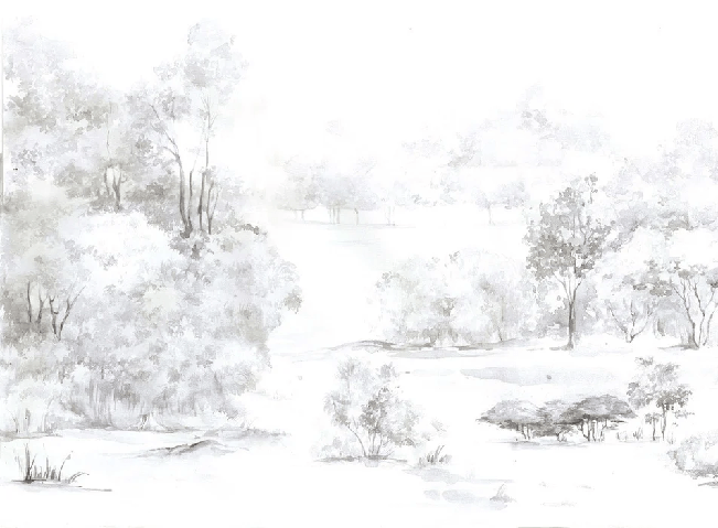 Carta da parati foresta di pini acquerello