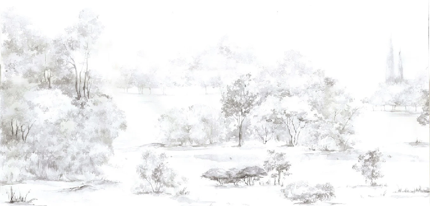 Papier peint forêt de pin aquarelle