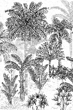 Carta da parati per bagno con motivo giungla e palme da cocco, stile incisione