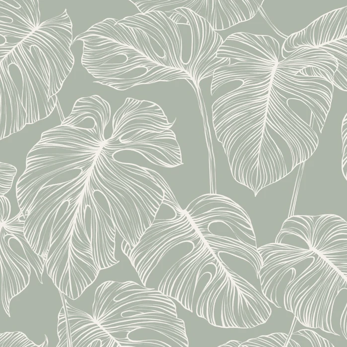 Carta da parati foglia monstera salvia