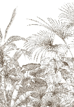 Carta da parati tropicale con incisione monocromatica