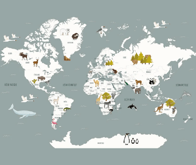 Carta da parati Mappa del mondo in francese per bambini grigio