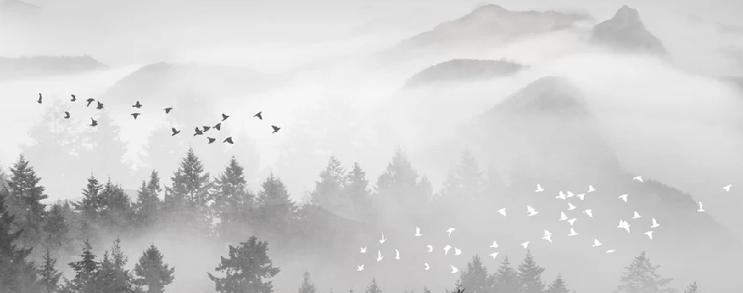 Carta da parati nebbia mistica montagna