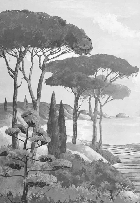 Carta da parati passeggiata nelle calanques monocromatica