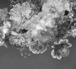 Carta da parati con fiori di peonia in bianco e nero