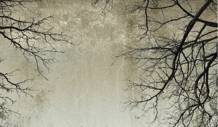 Carta da parati Foresta incantata