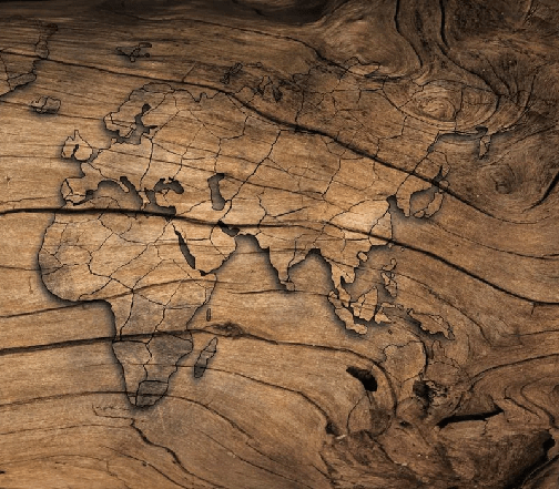 Carta da parati Wood & Map