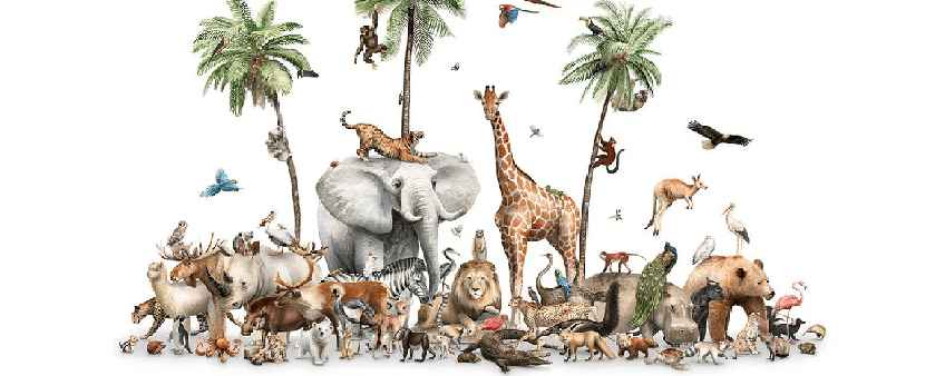 Carta da parati animali terra dei leoni