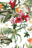 Carta da parati tropicale e fiori colorati