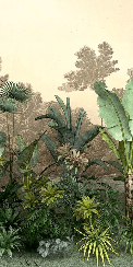 Carta da parati per bagno Jungle tendenza indonesiana