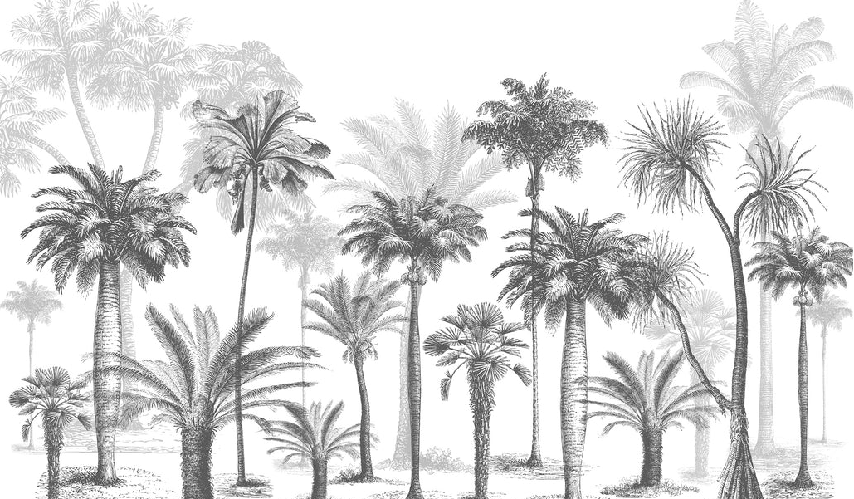 Carta da parati Black & White jungle
