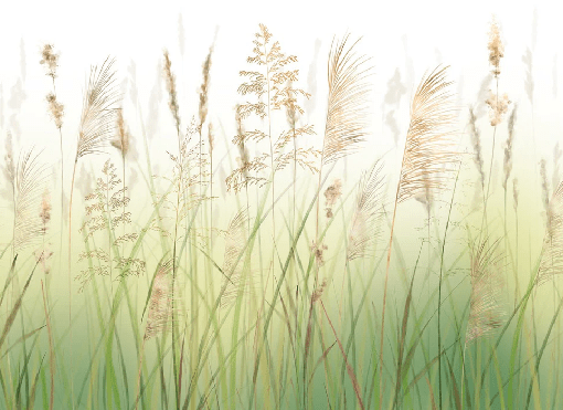 Carta da parati con motivo floreale su sfondo sfumato di campi di grano