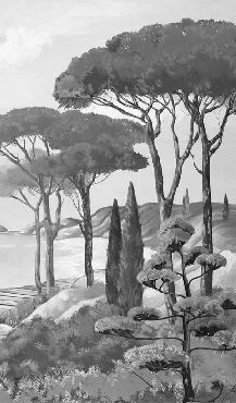 Carta da parati passeggiata nelle calanques in bianco e nero