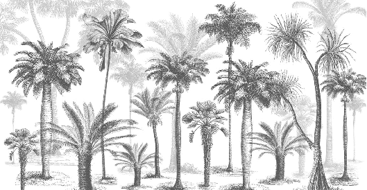 Carta da parati Jungle Black & White