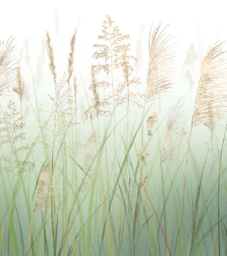 Carta da parati con fiori di campo e grano verde