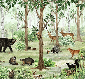 Carta da parati per bambini Dolcezza della foresta