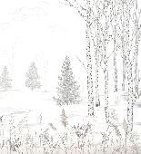 Carta da parati foresta in bianco e nero – Douceur des Bois