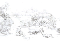 Carta da parati foresta di pini acquerello