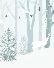 Carta da parati per la cameretta dei bambini Lapponia