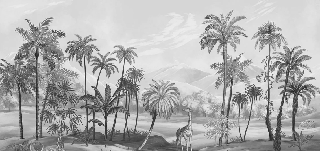 Carta da parati giungla Zaphira seppia