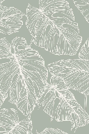 Carta da parati foglia monstera salvia