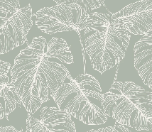 Carta da parati foglia monstera salvia