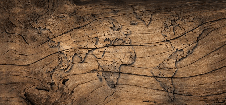 Carta da parati Wood & Map