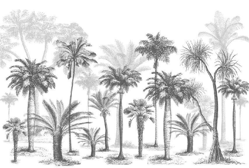 Papier peint Jungle Black & White, XXL, tendance