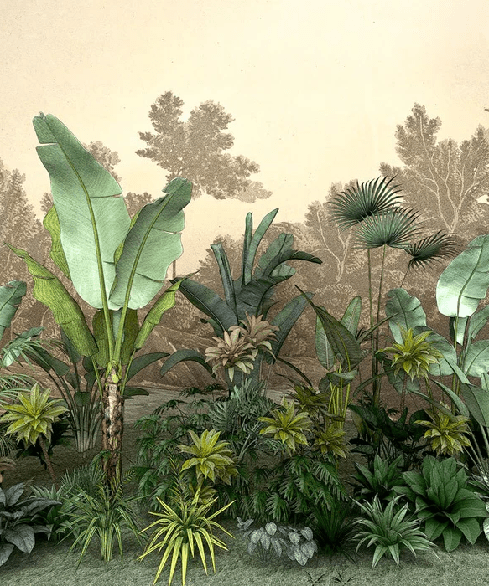 Carta da parati per bagno Jungle tendenza indonesiana