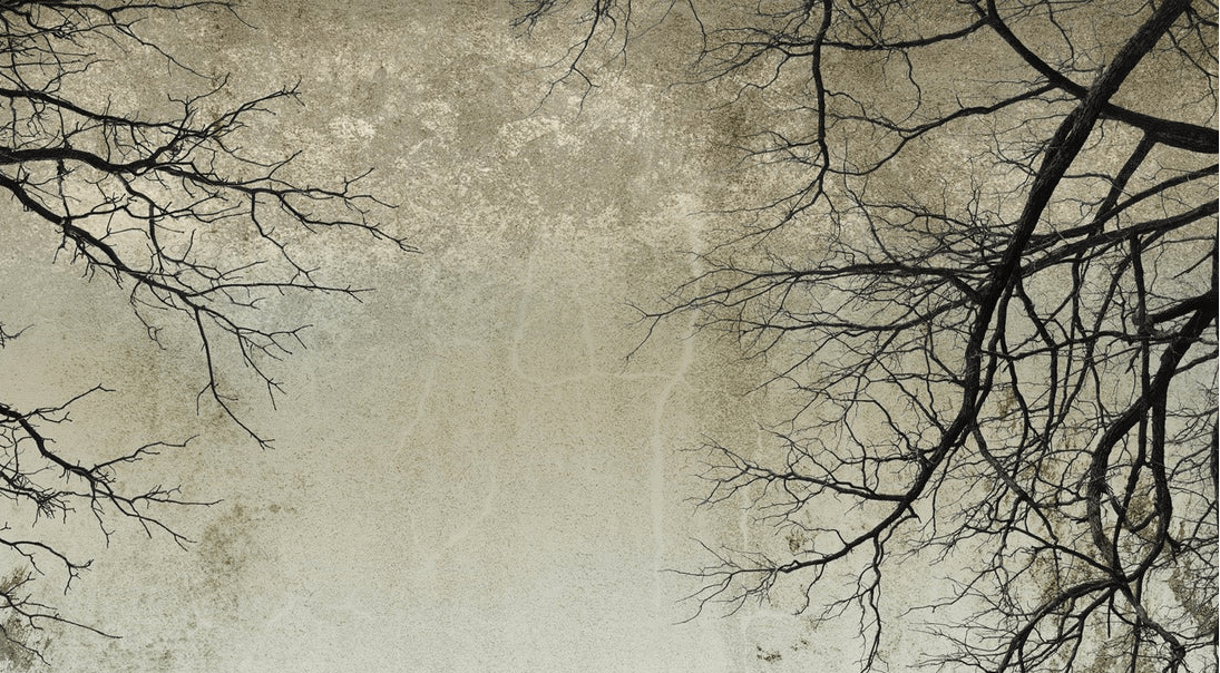 Carta da parati Foresta incantata