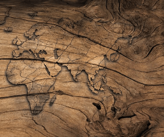 Carta da parati Wood & Map