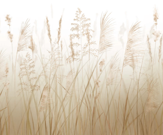 Carta da parati con fiori di campo e grano