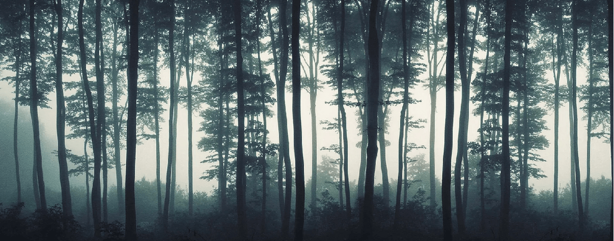 Carta da parati Brume d'automne