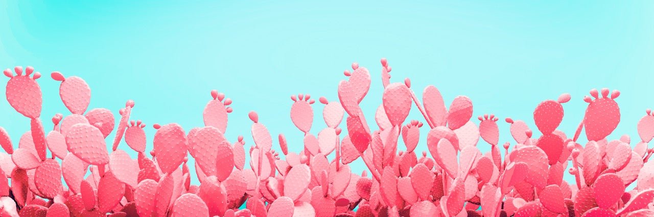 Papier peint cactus pop, XXL, tendance