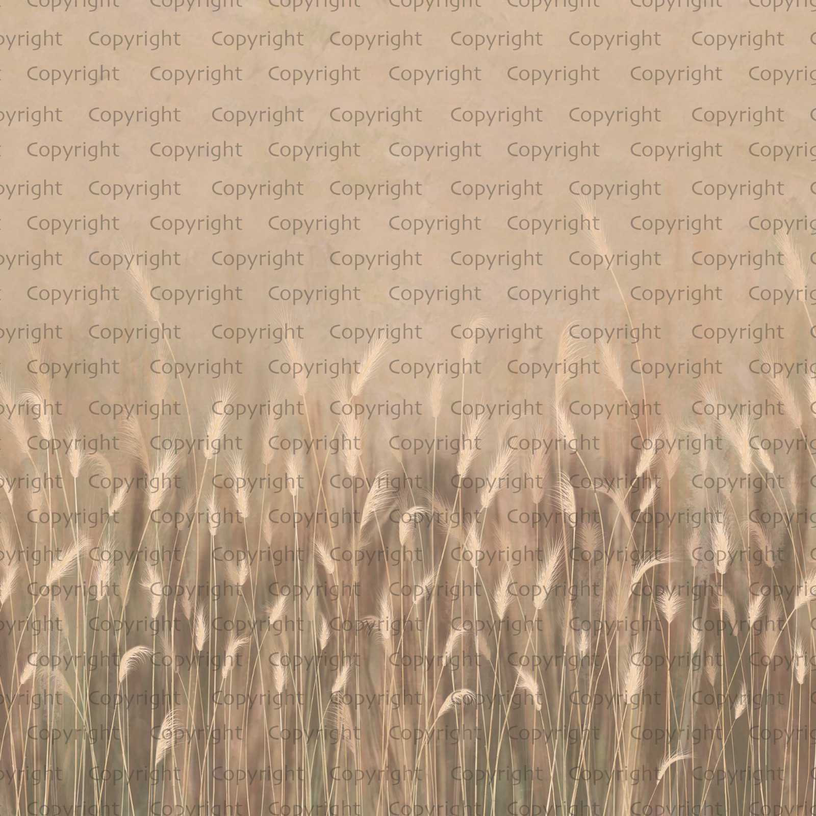Papier peint panoramique herbes sauvages beige, XXL, tendance