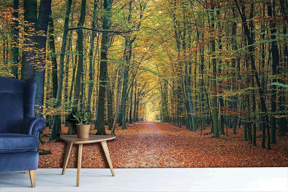 Carta da parati panoramica della foresta di Vercors