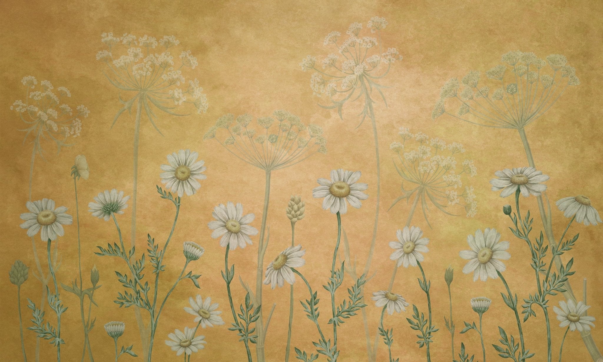 Papier peint champs de marguerites - panoramique français
