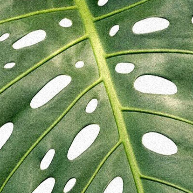 Papier peint Verdure - papier peint sur mesure francais - muralconcept