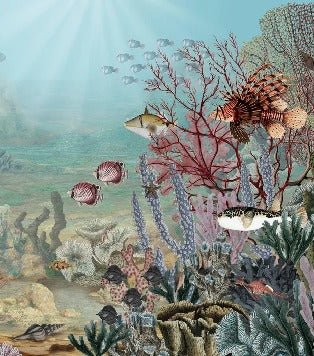 Carta da parati Vita sotto il mare
